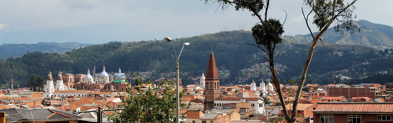 Banner ejes